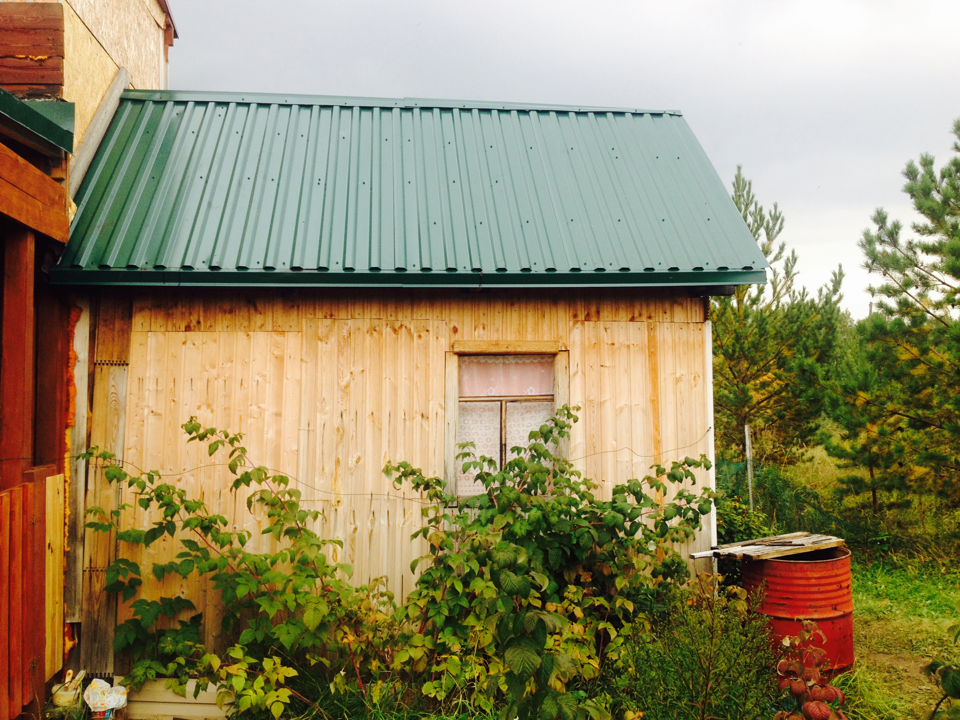 House from the container in the garden